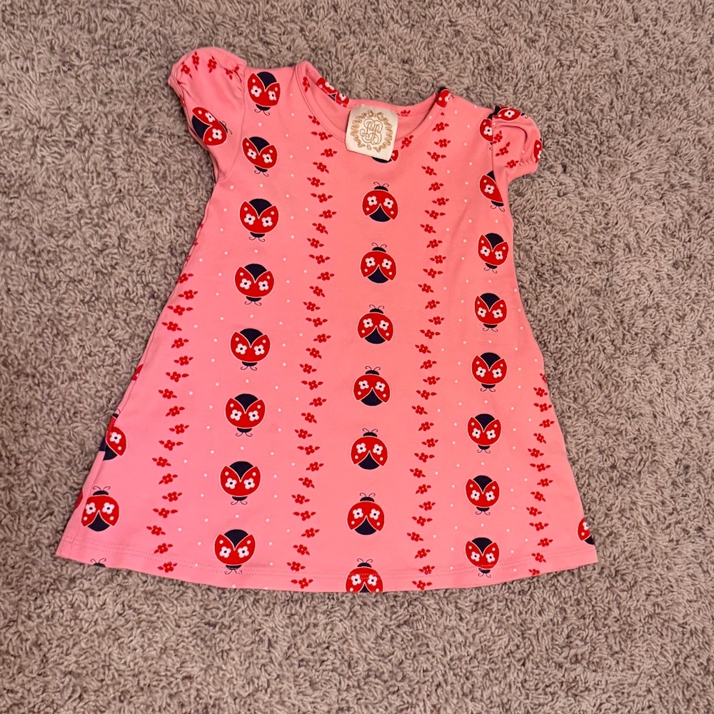 The Beaufort Bonnet Toddler Girl size 2T